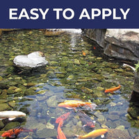 Ultimate Pond Bacteria, Outdoor Pond & Lake Natural Beneficial Bacteria Treatment, Aquatic Odor Reducer & Sludge Digester, Fish, Plant, & Livestock Safe, Easy Dosing Liquid, 1 Gallon Bottle