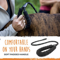 Mighty Paw Double Dog Leash - Double Leash w/ Rope Handle / Standard | Dogs 30+ lbs - image 4