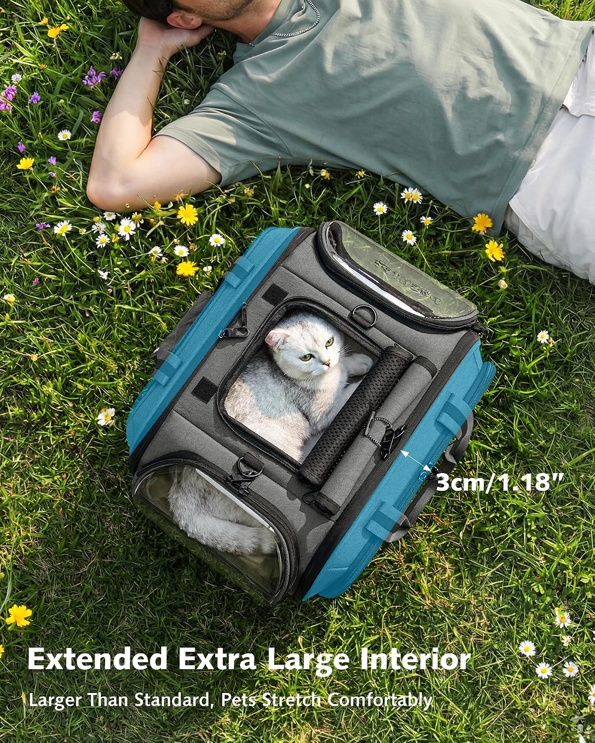 Pecute Cat Carrier, Double Bubble Pet Carrier for Cat Small Dogs - 16.9"L x 11.8"W x 12.6"H / Gray - image 4