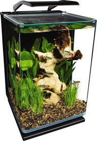 Marineland Portrait 5 Gallon Fish Tank Kit – Essentials for Fish