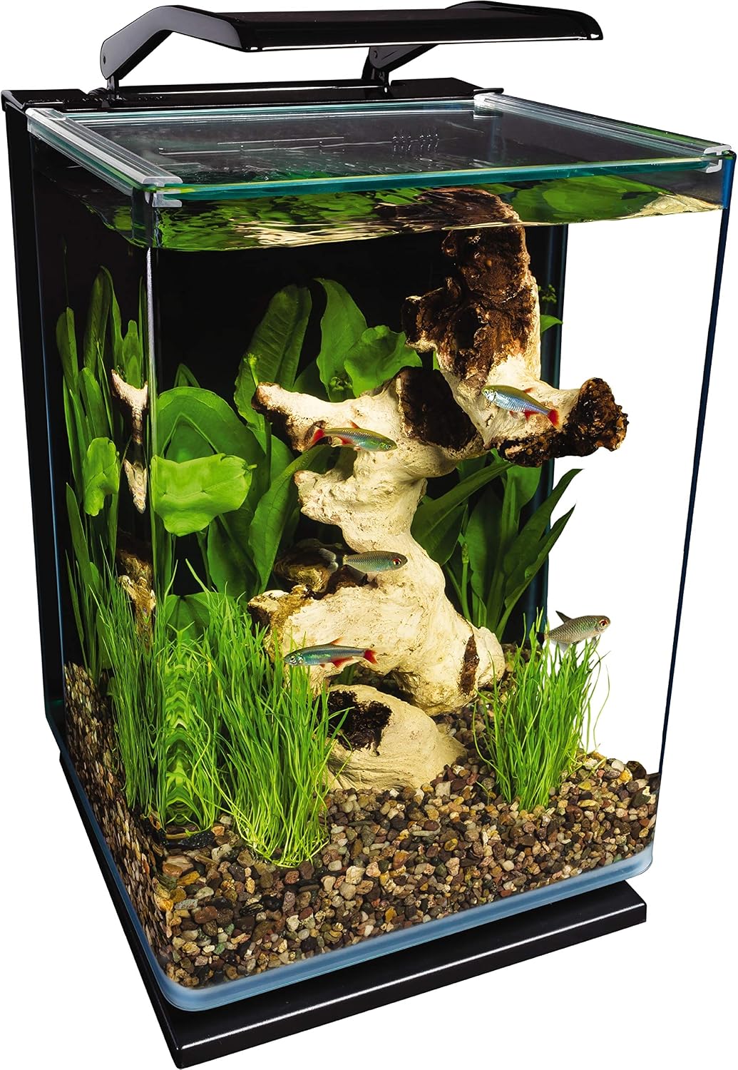 Marineland Portrait 5 Gallon Fish Tank Kit – Essentials for Fish
