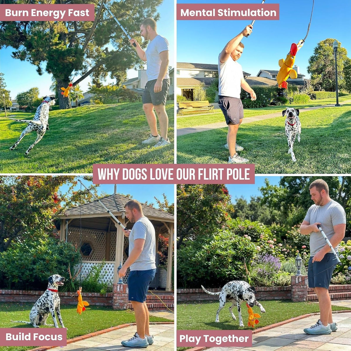Flirt Pole for Dogs Heavy Duty 35 Inch Teaser Wand with Duck Toy – Essentials for Dogs - Duck / 35" Pole - image 3