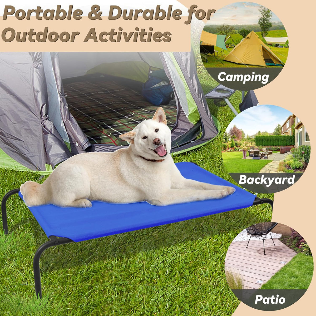 Raised Pet Cot for Small Pets – Essentials for Dogs - Large / Blue - image 3
