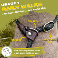 Fida Durable Slip Lead Dog Leash - Large (1/2" x 6 ft) / Black - image 4