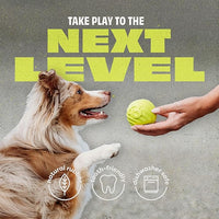 Benebone 2-Pack Rubber Ball