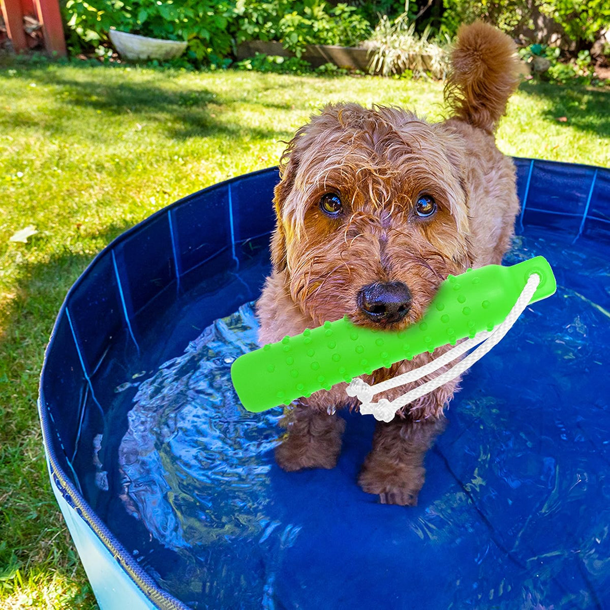Floating Dog Water Toys, 2 Pack Interactive Pool Fetch Bumper – Essentials for Dogs - image 4