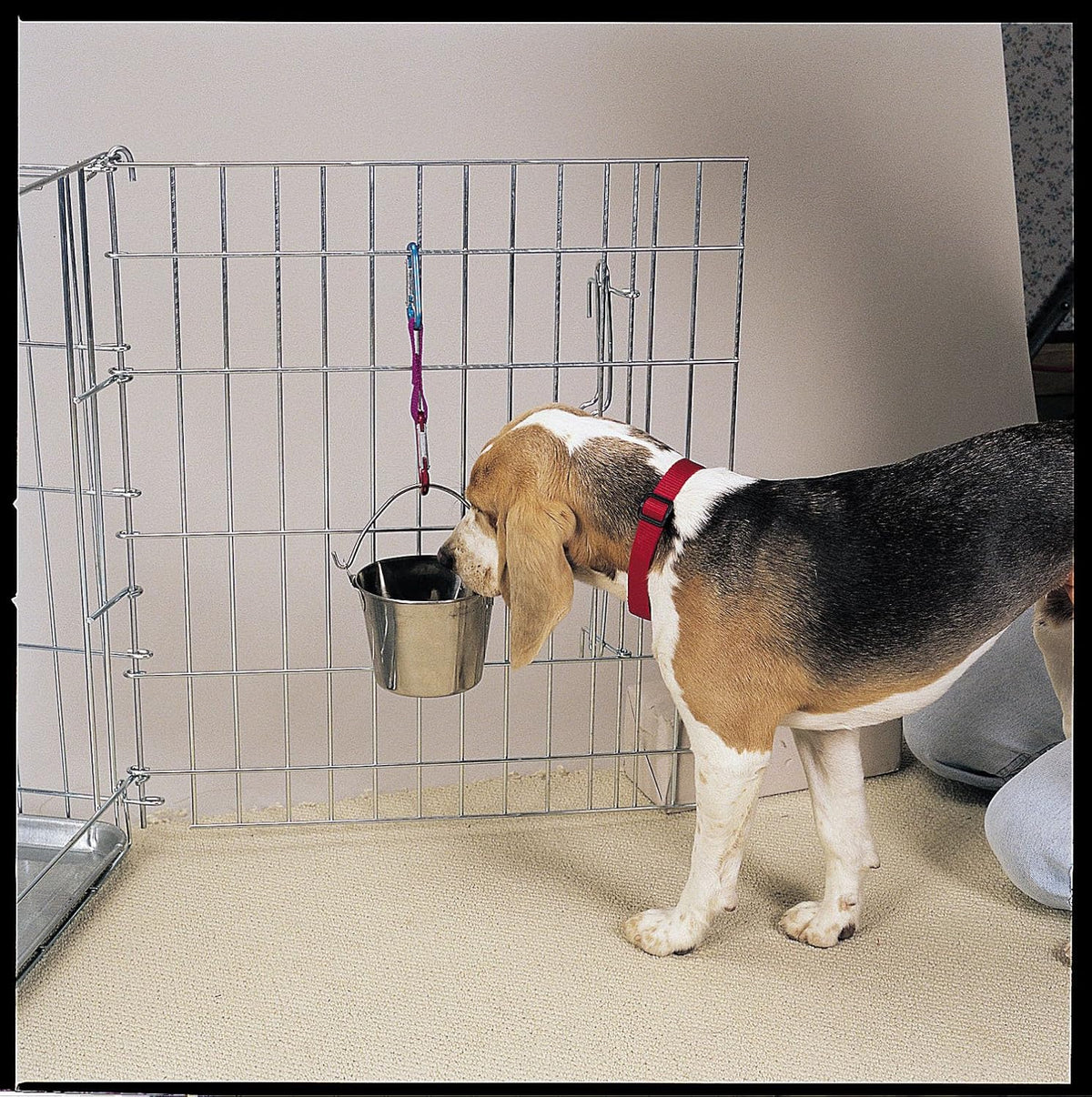 Pro Select Stainless Steel Pet Pail, 1-Quart Size - 2-Quart - image 2