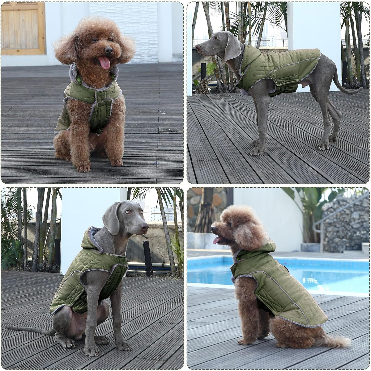 Warm Fleece Dog Hoodie for Small Dogs, Winter Puppy Coats - Green / Large - image 3
