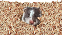 Kaytee Aspen Bedding for Small Animals - 52.4 Liter / Tan - image 4