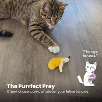 Catstages Dental Banana Cat Toy with Catnip, Interactive Chew for Healthy Teeth and Gums, Engages Hunting Instincts, Durable Indoor Play for Cats, Yellow