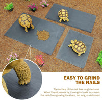 Rock Basking Platform with Bowl & Mat for Reptiles Small – Essentials for Reptiles And Amphibians - Large-Size - image 3
