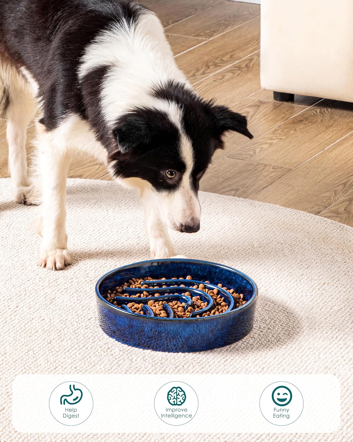 vancasso Slow Feeder Dog Bowl - Blue / 3 Cups - image 2