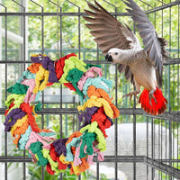 Parrot Swing for Large Birds – Essentials for Birds - Parrot Swing (Standard) - image 4