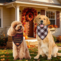 Fall Dog Bandanas Large 3PCS - 26-O G Wr / Small - image 3