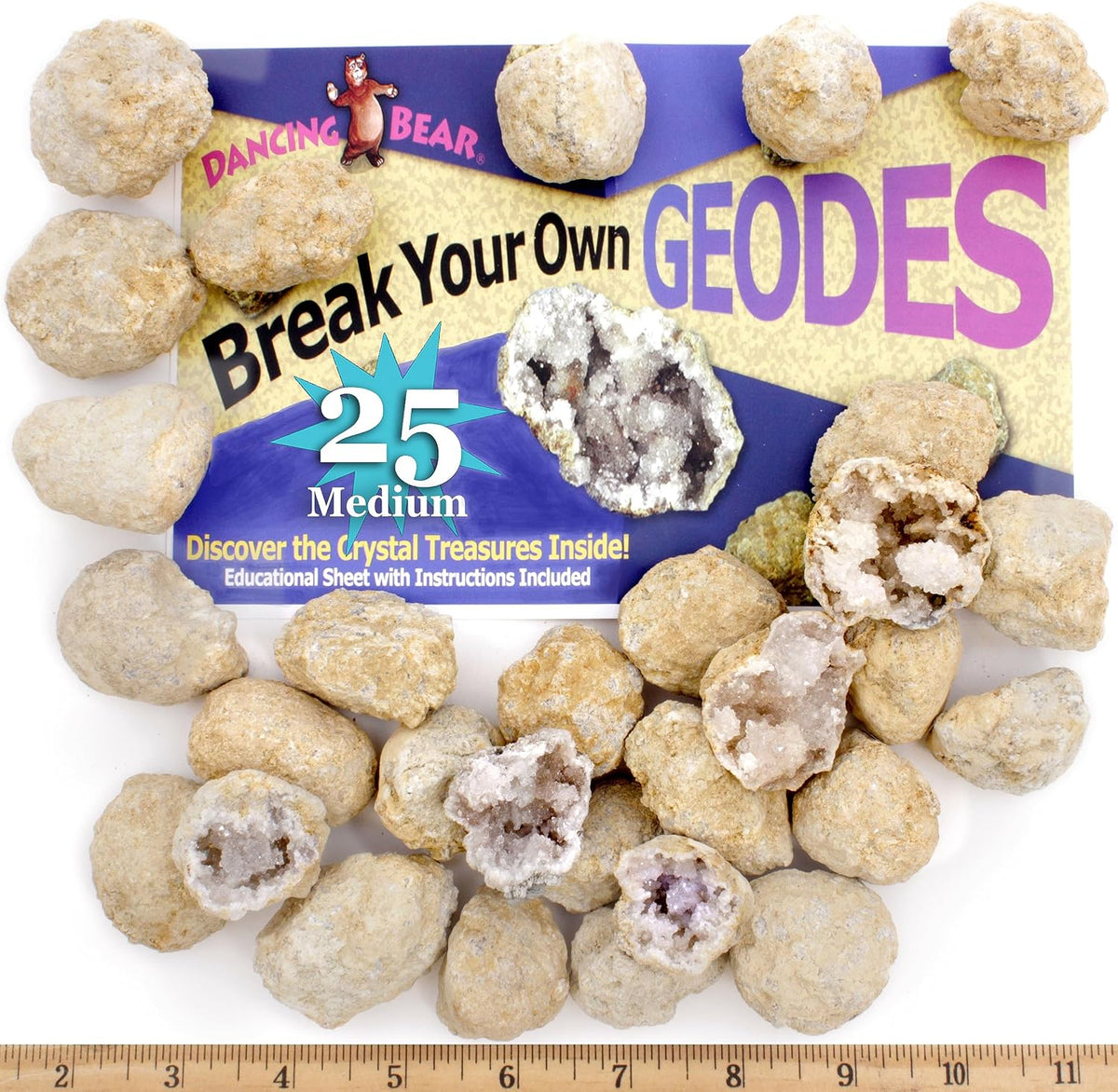 DANCING BEAR 25 Break Your Own Geodes, 90% Hollow - Medium (1-1.5")