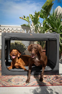 Noah & Paw XXL Collapsible Dog Crate, 42" - Grey / 35.5"L x 25.2"W x 23.4"H - image 3