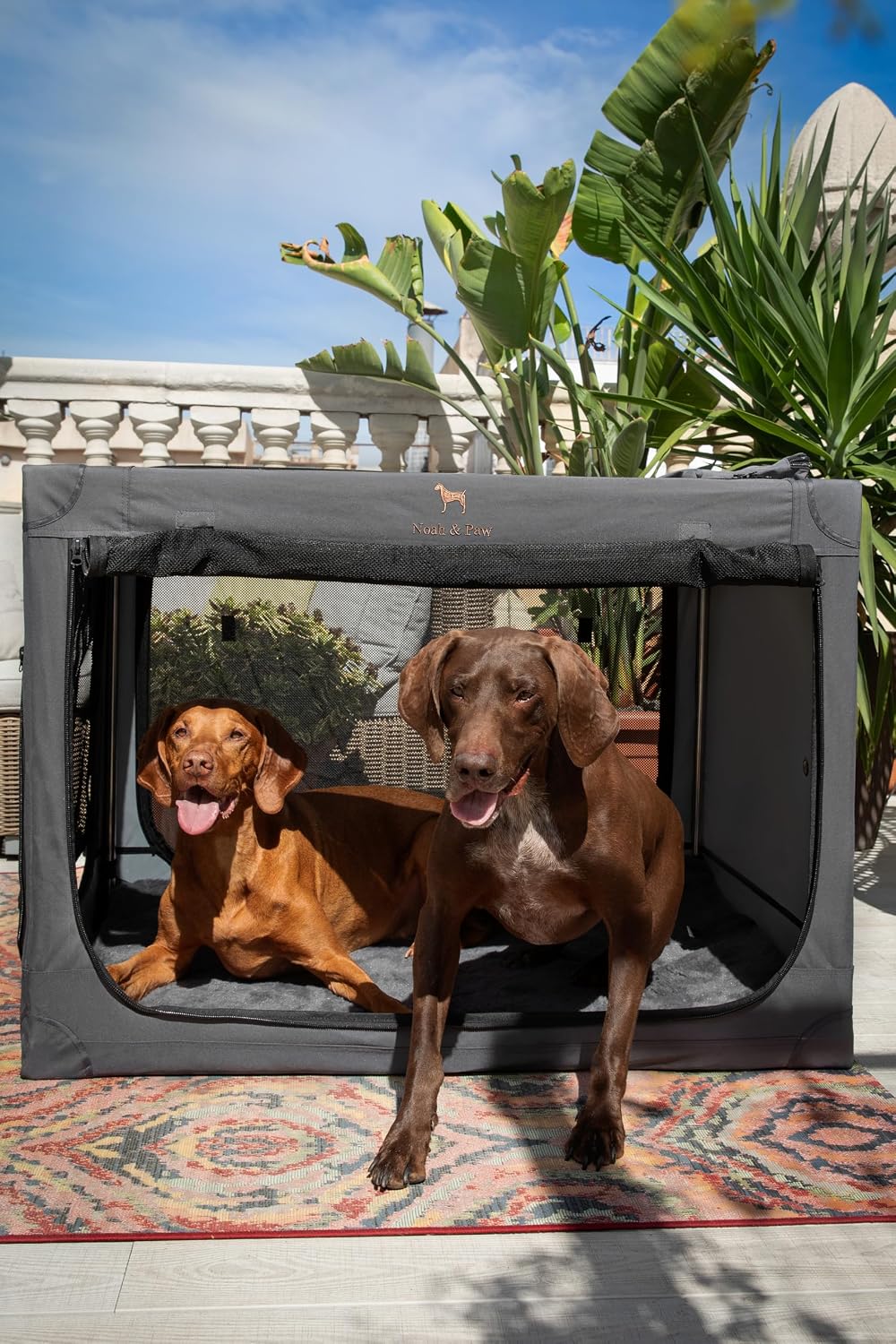 Noah & Paw XXL Collapsible Dog Crate, 42" - Grey / 35.5"L x 25.2"W x 23.4"H - image 3