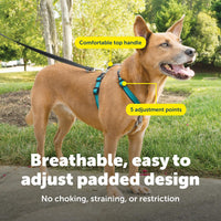 PetSafe 3 in 1 No-Pull Dog Harness, Walk, Train or Travel - Teal / Medium (Pack of 1) - image 4