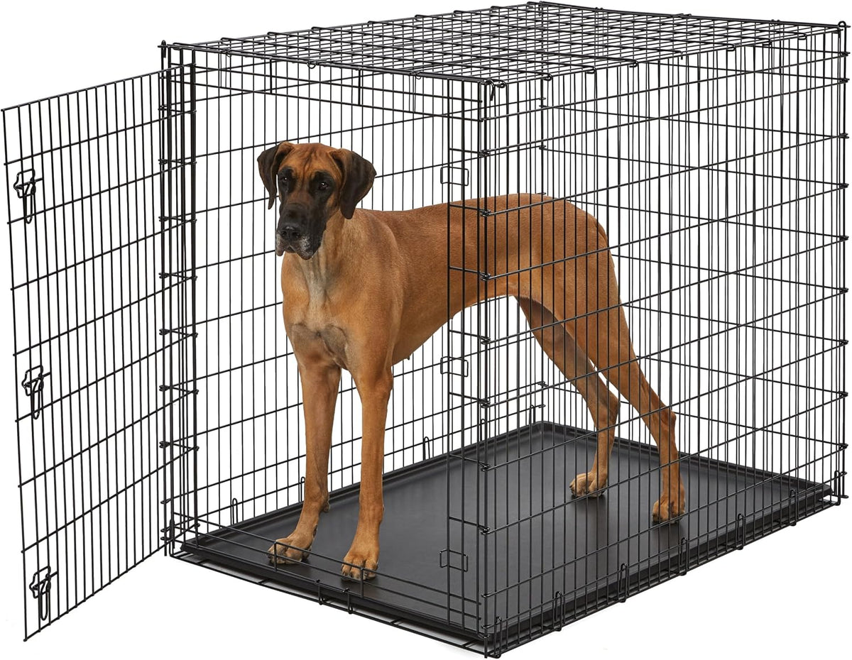Solutions by Midwest 54-Inch Double Door Crate, Giant Breed Dogs - Black - Single Door / XXL (54"L)