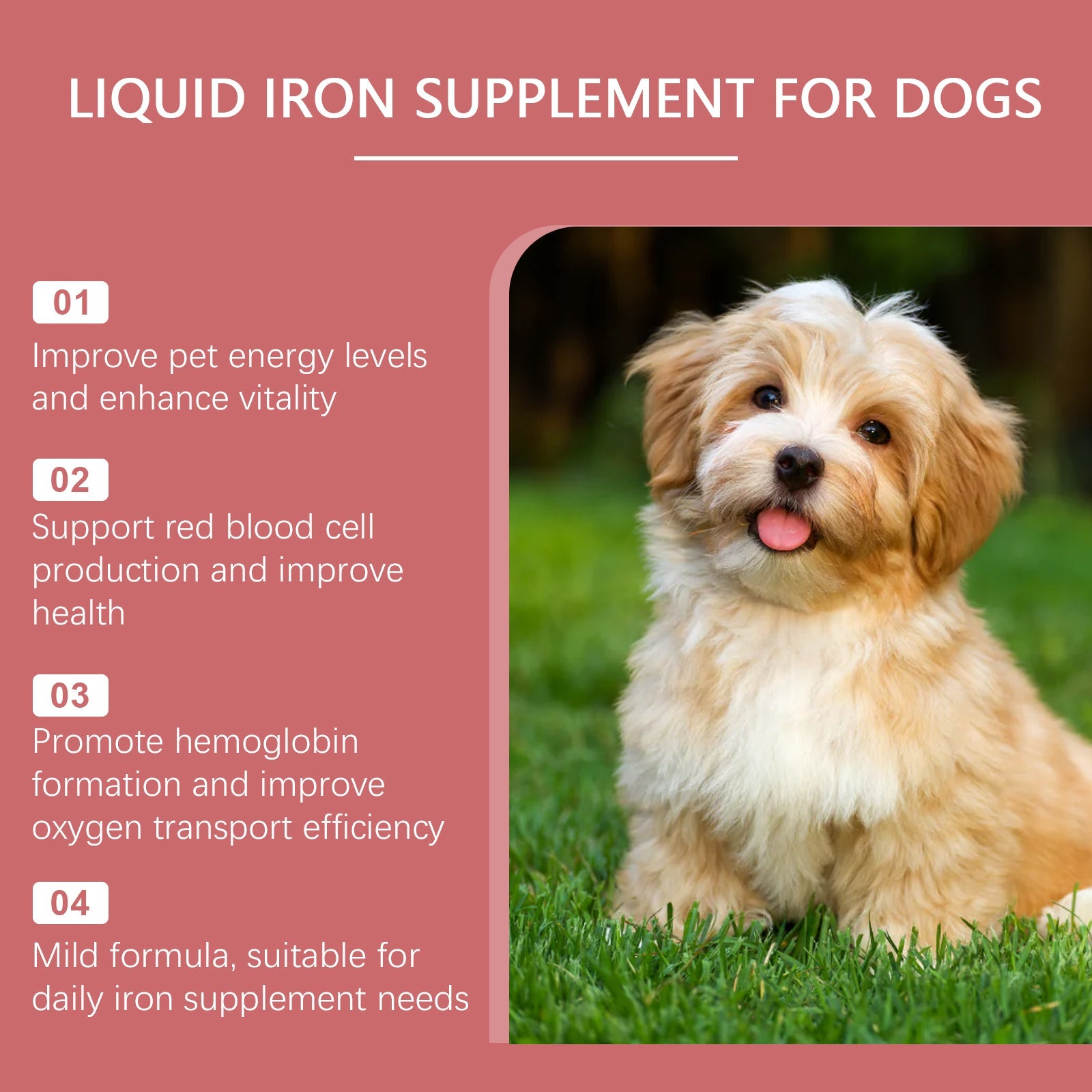 Pet Dog Syrup Pampers Pet Dogs With Gentle Ingredients To Help Absorb Care Supplements