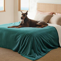 Bedsure Waterproof Dog Blankets for Small Dogs Soft Cat Blanket Warm - King(86x108") / Green