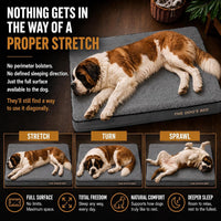 The Dog’s Bed Orthopedic Memory Foam Dog Bed - Grey Plush / XXXL Beds (6" deep) - image 3