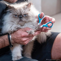 Mr. Pen, Cat Nail Clipper, Stainless Steel - Blue - image 4