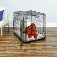 New World by Midwest 42-Inch Single Door Crate, for Large Breeds - Single Door - Black / Large (42"L) - image 2