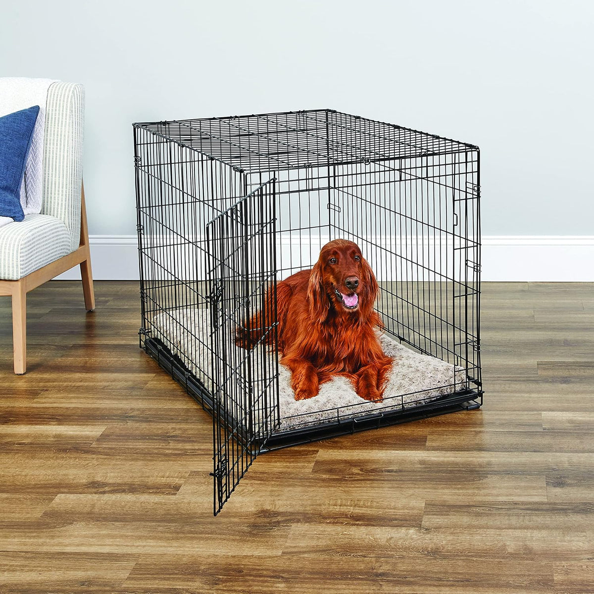 New World by Midwest 42-Inch Single Door Crate, for Large Breeds - Single Door - Black / Large (42"L) - image 2