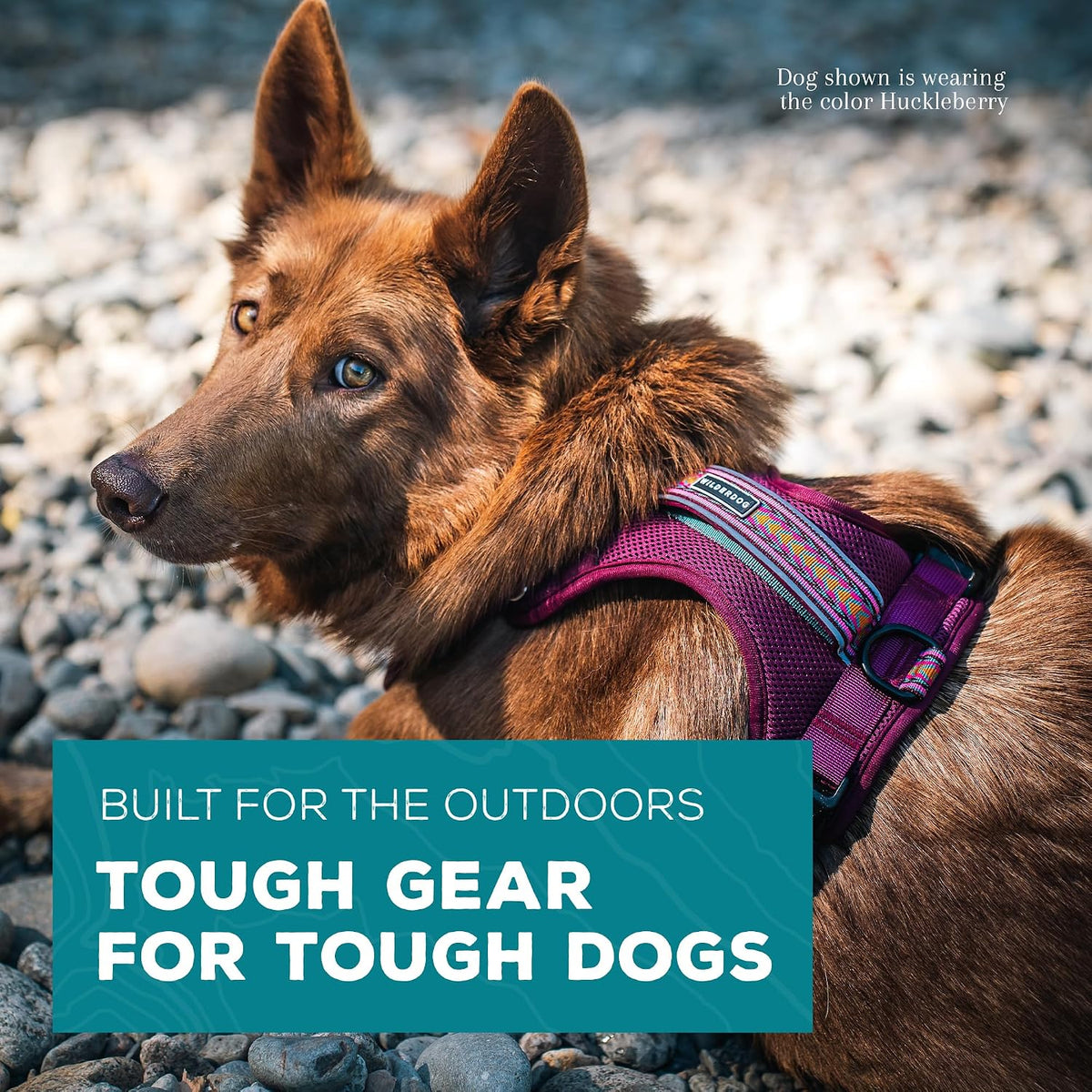 Wilderdog Lightweight Dog Harness with Reflective Straps - Huckleberry / Medium - image 2