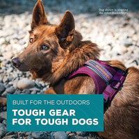 Wilderdog Lightweight Dog Harness with Reflective Straps - Large - Huckleberry