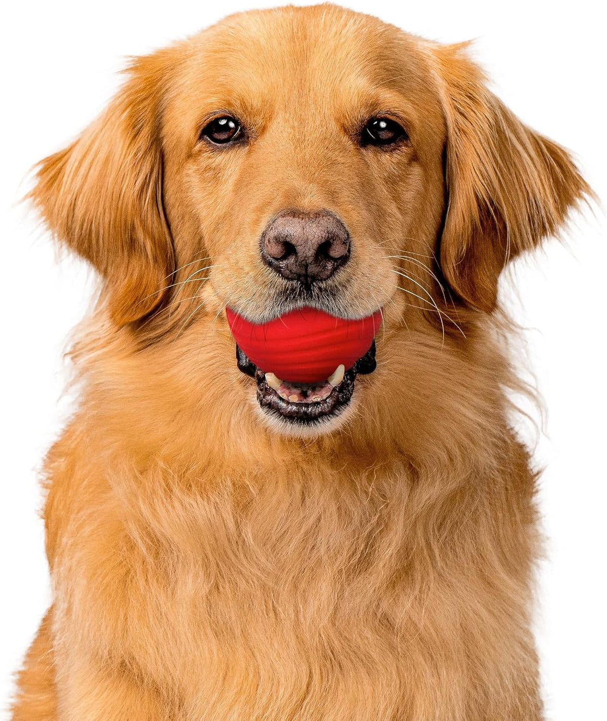 Playology Durable Large Dual Layer Dog Ball, Peanut Butter Scent - Jumbo / Beef - image 3