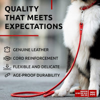 WAUDOG Rolled Leather Dog Leash 4Ft * 0.3 in for Small Medium - Red / 4Ft * 0.5 in - image 3