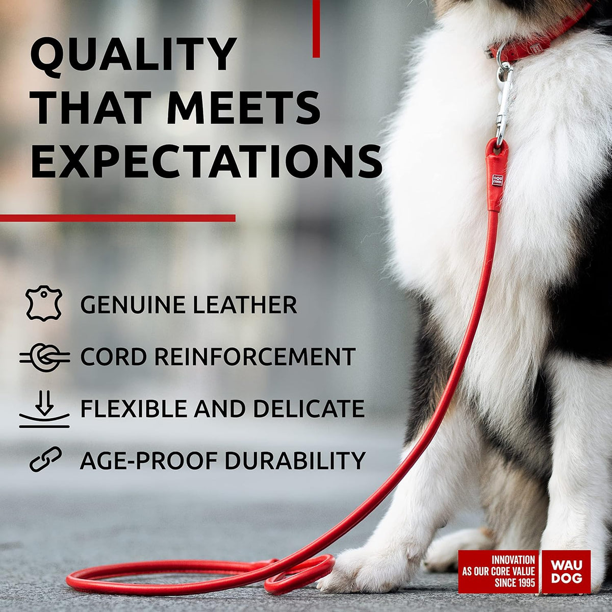 WAUDOG Rolled Leather Dog Leash 4Ft * 0.3 in for Small Medium - Red / 4Ft * 0.5 in - image 3