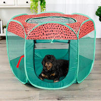 FurHaven Soft-Sided Dog & Cat Playpen - Green & Pink / Medium - image 2