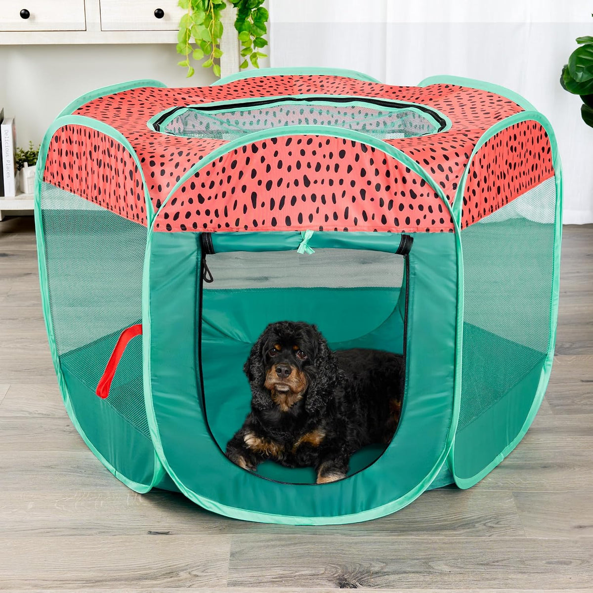 FurHaven Soft-Sided Dog & Cat Playpen - Green & Pink / Medium - image 2