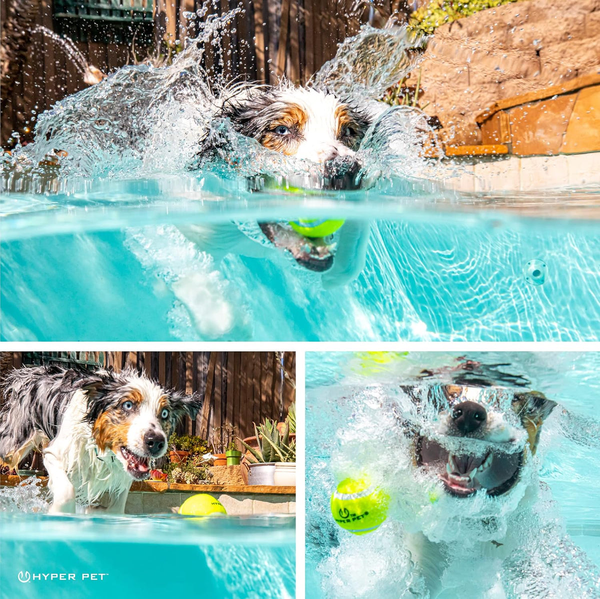 Hyper Pet Mini Extra Small Tennis Balls for Dogs - Green / Regular 2.5" - 12 Pack - image 4