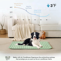 MICROCOSMOS Summer Cooling Mat & Sleeping Pad - 24" x 18" / Green - image 2