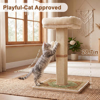 Tall Cat Scratching Post for Indoor Cats Adults with Carpet - Brown / Large（with bed） - image 2