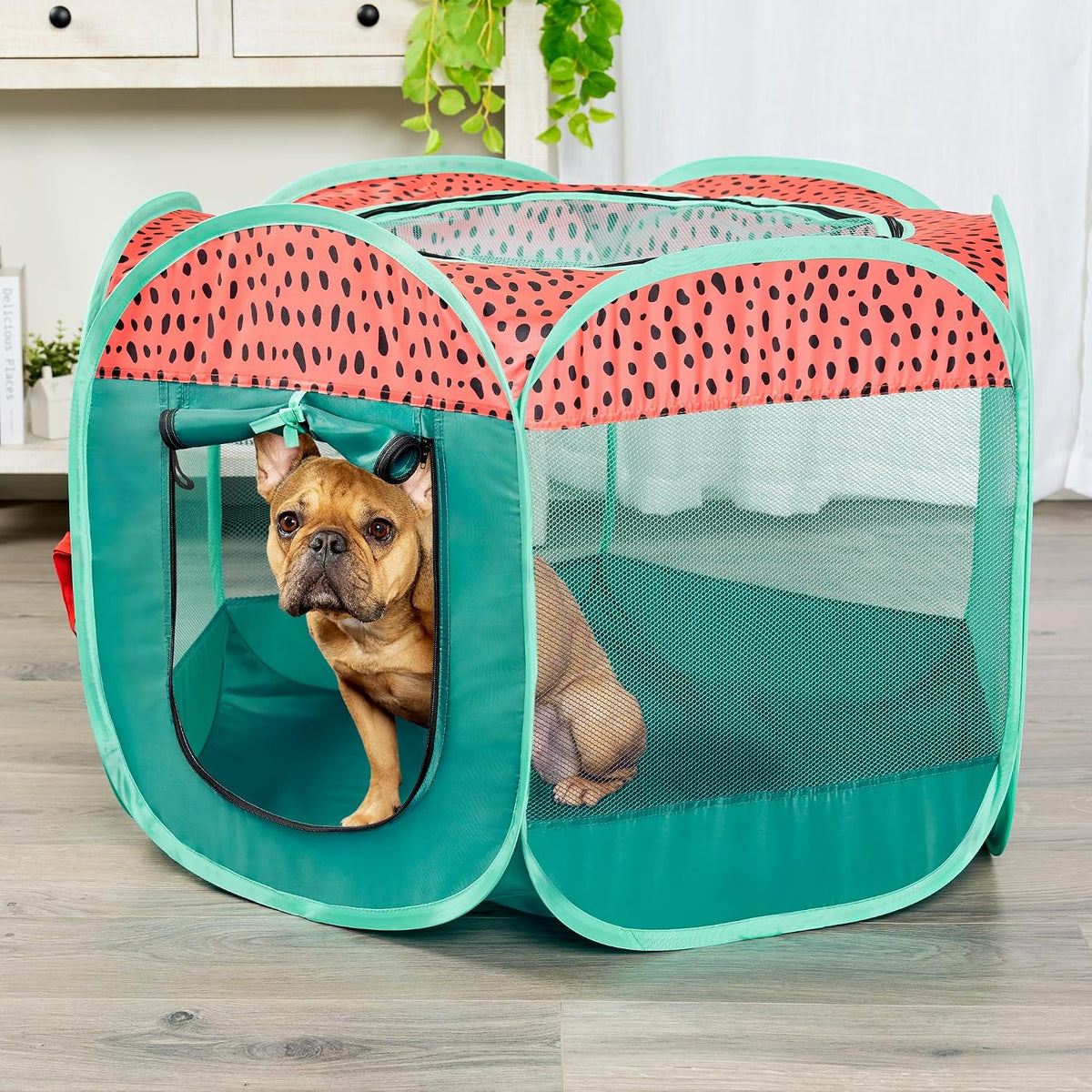 FurHaven Soft-Sided Dog & Cat Playpen - Green & Pink / Small - image 2