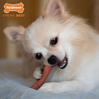 Nylabone Power Chew Original Bone Dog Chew Toys - Bacon / X-Small - image 2