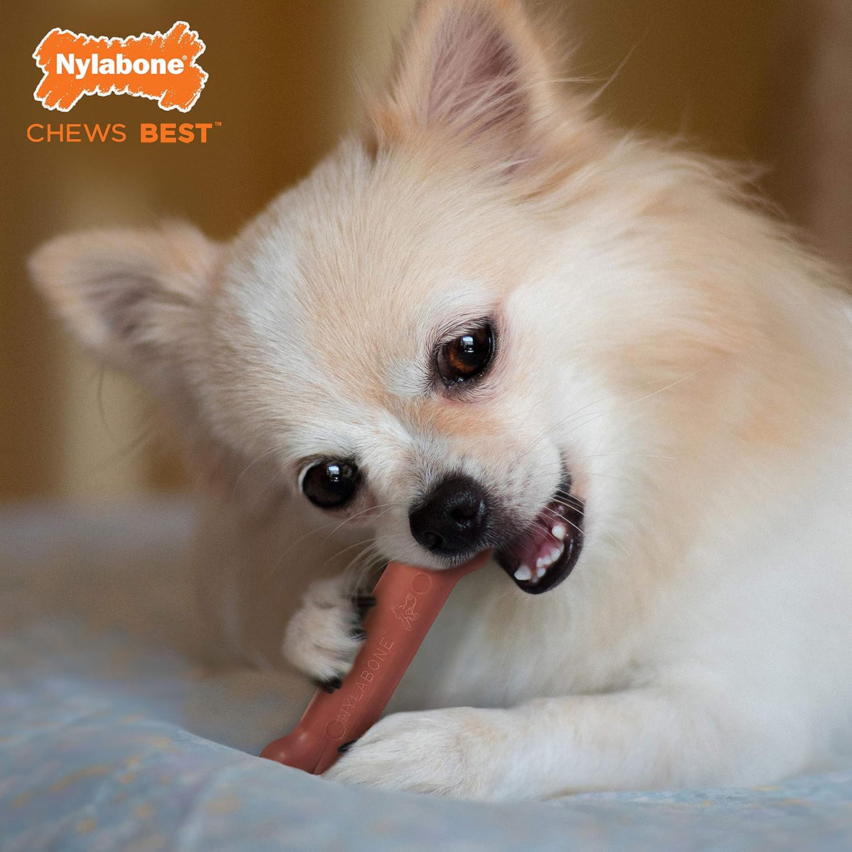 Nylabone Power Chew Original Bone Dog Chew Toys - Bacon / X-Small - image 2