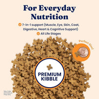 Solid Gold Dry Cat Food for Indoor Cats of All Ages - W/Lamb, Brown Rice, Barley, Probiotics & Fiber for Gut Health- Holistic & Healthy Cat Kibble for Kittens & Adults - Dry Kibble for Cats - 4 LB