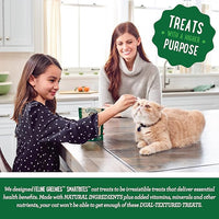 Greenies Feline Smartbites Skin & Fur Crunchy and Soft Natural Cat Treats, Salmon Flavor, 4.6 oz. Pack (Pack of 2)