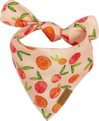 Remy+Roo Katherine Spring Dog Bandanas Large, Floral - Small - image 3