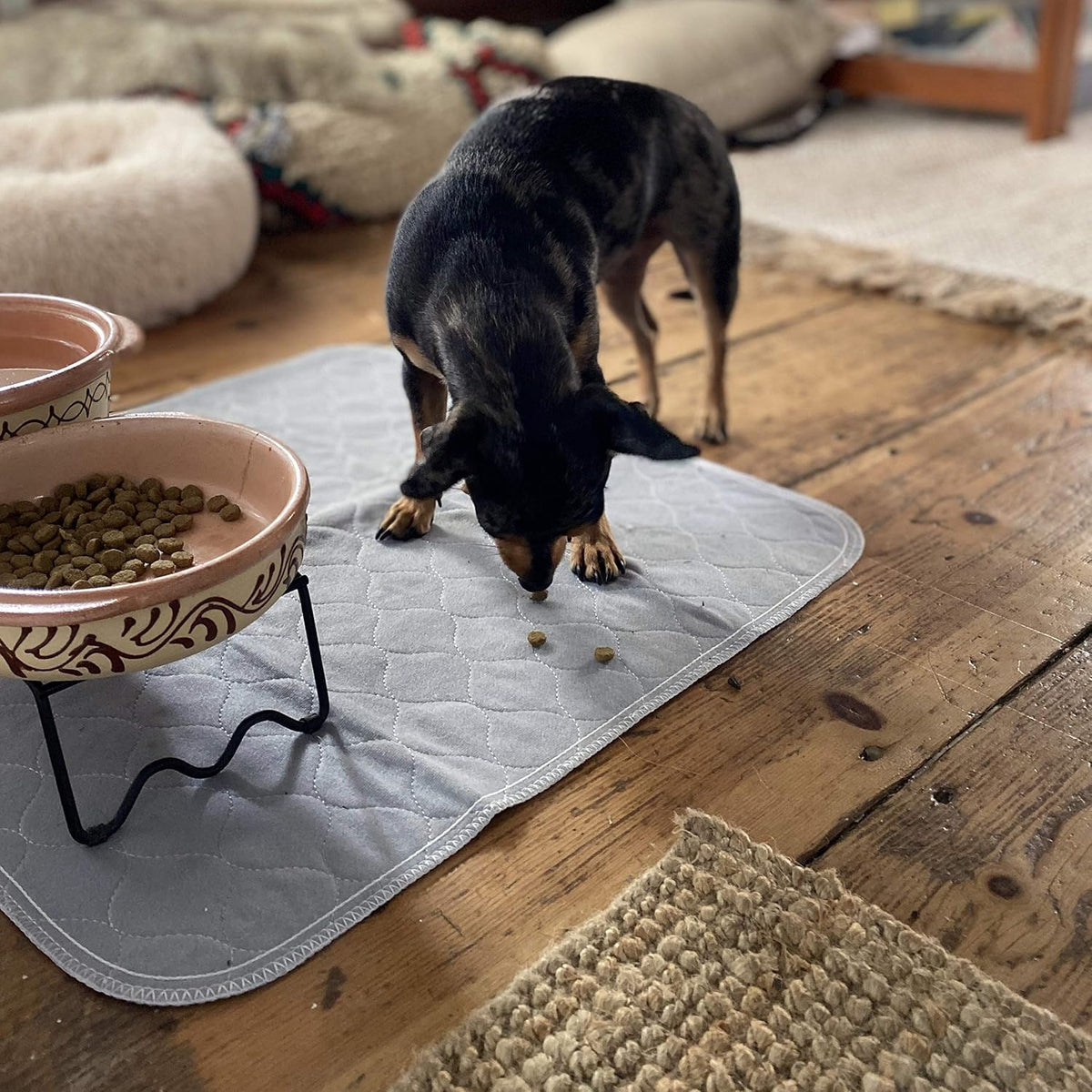 Washable Cat & Dog Carrier Pad, Reusable Liner Insert – Essentials for Dogs - 22" x 22" / 4-Pack, Medium - image 2
