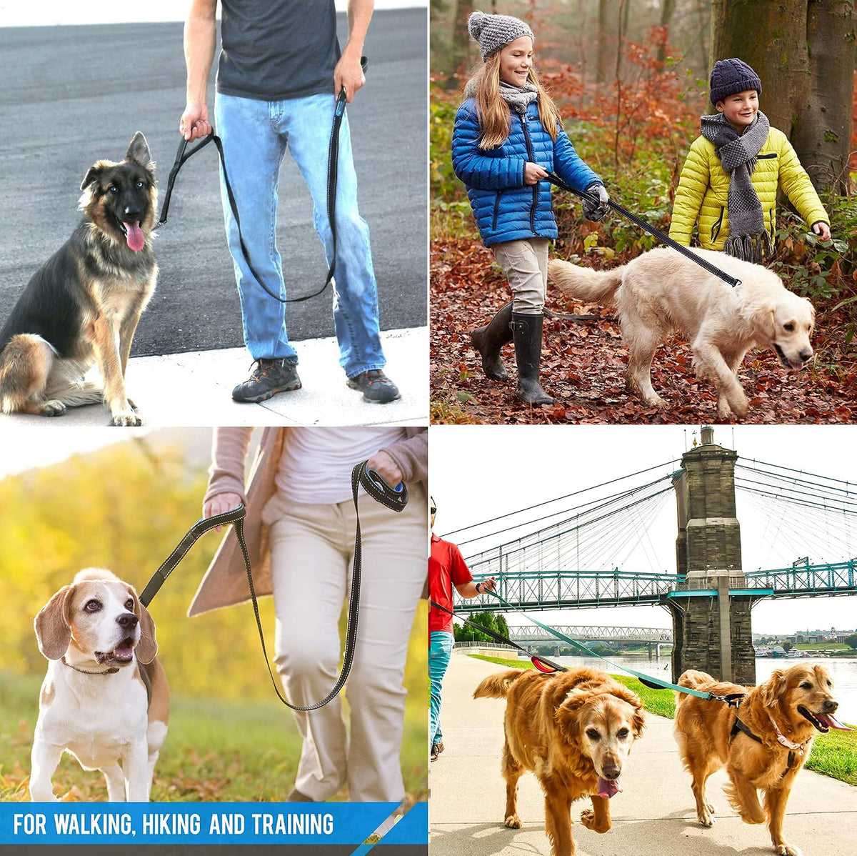 Heavy Duty Dog Leash - 2 Handles by Padded Traffic Handle for Extra Control, 6foot Long - Perfect - 6 ft / Black - image 3
