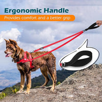 PetBonus Two Point Control Dog Leash, Works with No Pull Harnesses, No Tangle Dog Training Leashes, No Pull Padded and Reflective Walking Lead,Converts to Single Leash for Medium Large Dogs (Red)
