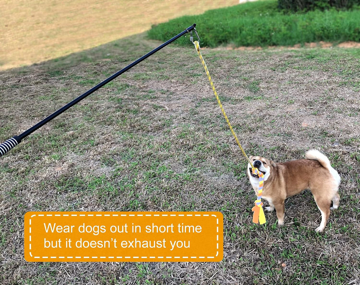 Interactive Flirt Pole Toy for Dogs Outdoor Exercise & Agility - image 2