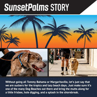 Wolfgang Heavy Duty, Adjustable Dog Collar with Quick Release Nylon Buckle for Walking & Training - Medium (1 Inch x 12-18 Inch) / SunsetPalms Print - image 2